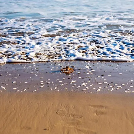 Appartement Spacious In Pozzallo, 110m² With Pool And Sea View *