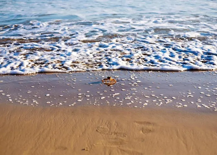 Apartment Spacious In Pozzallo, 110m² With Pool And Sea View *